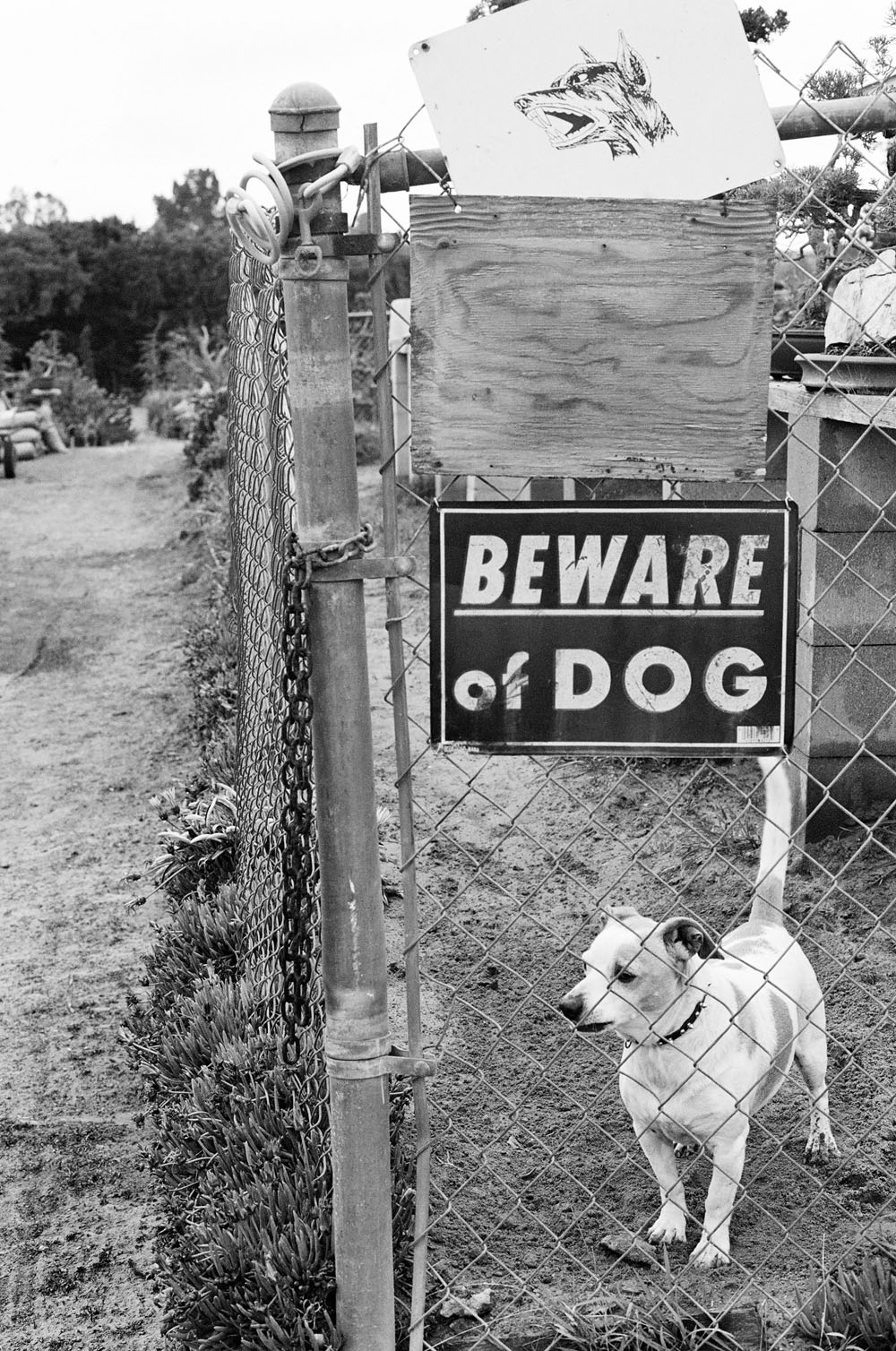 Luke-VanVoorhis-WitnessThis-California-Winter-In-Black-And-White-06