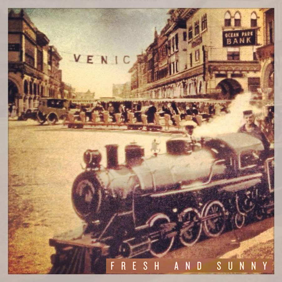 freshandsunny_venice_witnessthis