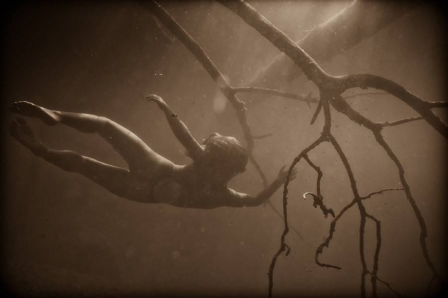 Neil Craver Underwater Photography 'Omni-Phantasmic'