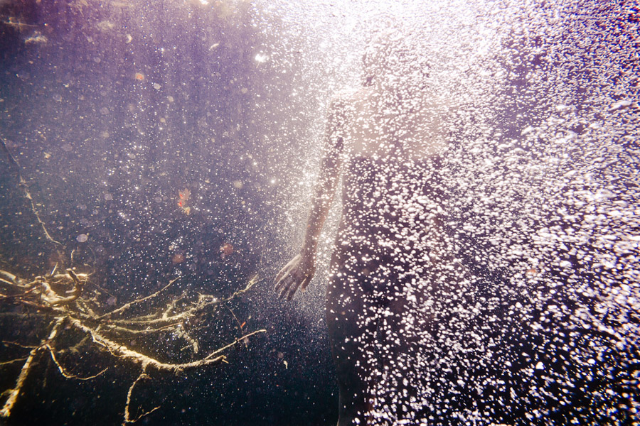 Neil Craver Underwater Photography 'Omni-Phantasmic'