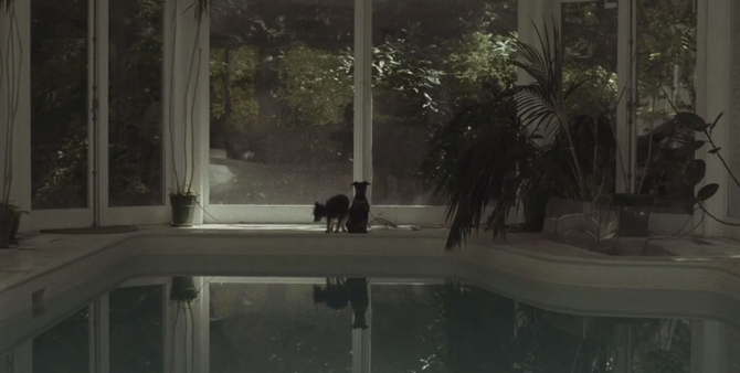 Efterklang---Black-Summer-on-Vimeo_witnessthis
