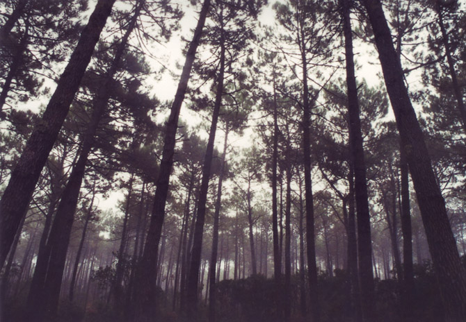 Veronica Losantos - Light Diaries_darkroom_witnessthis-6