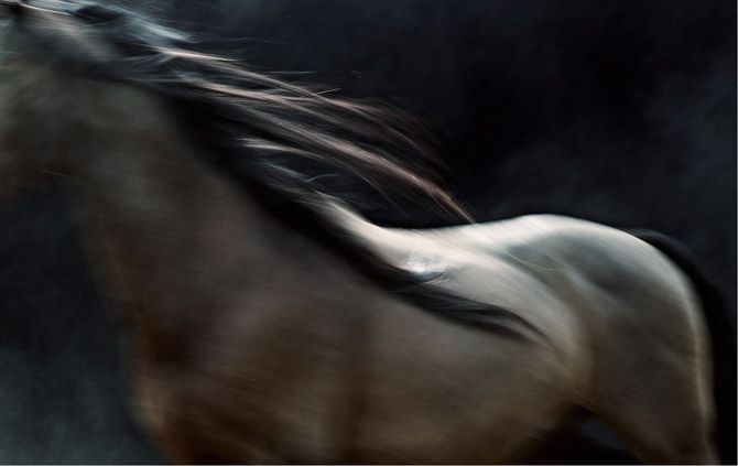 steven lippman_odland__darkroom_witnessthis-5