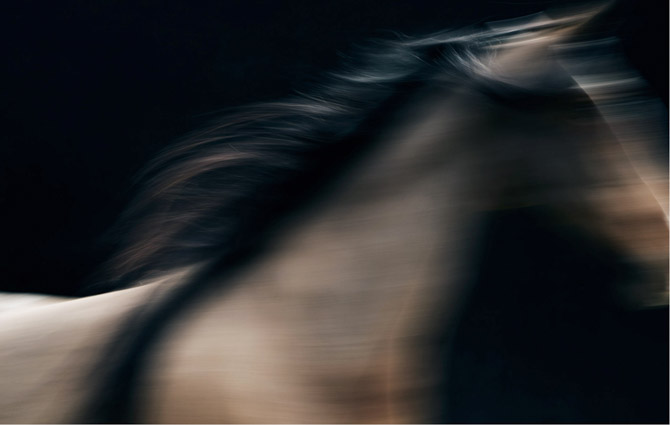 steven lippman_odland__darkroom_witnessthis-9