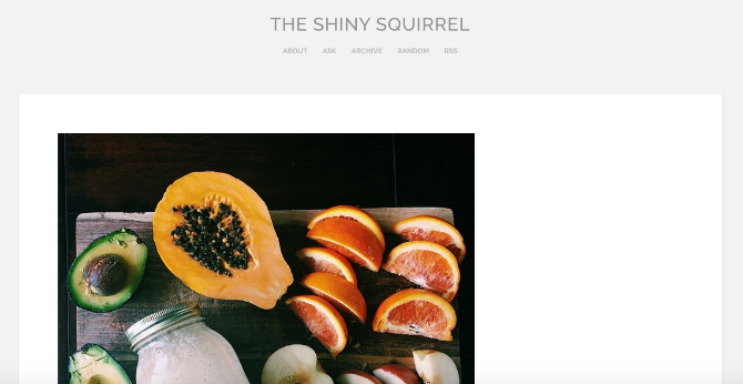 The Shiny Squirrel Tumblr Blog