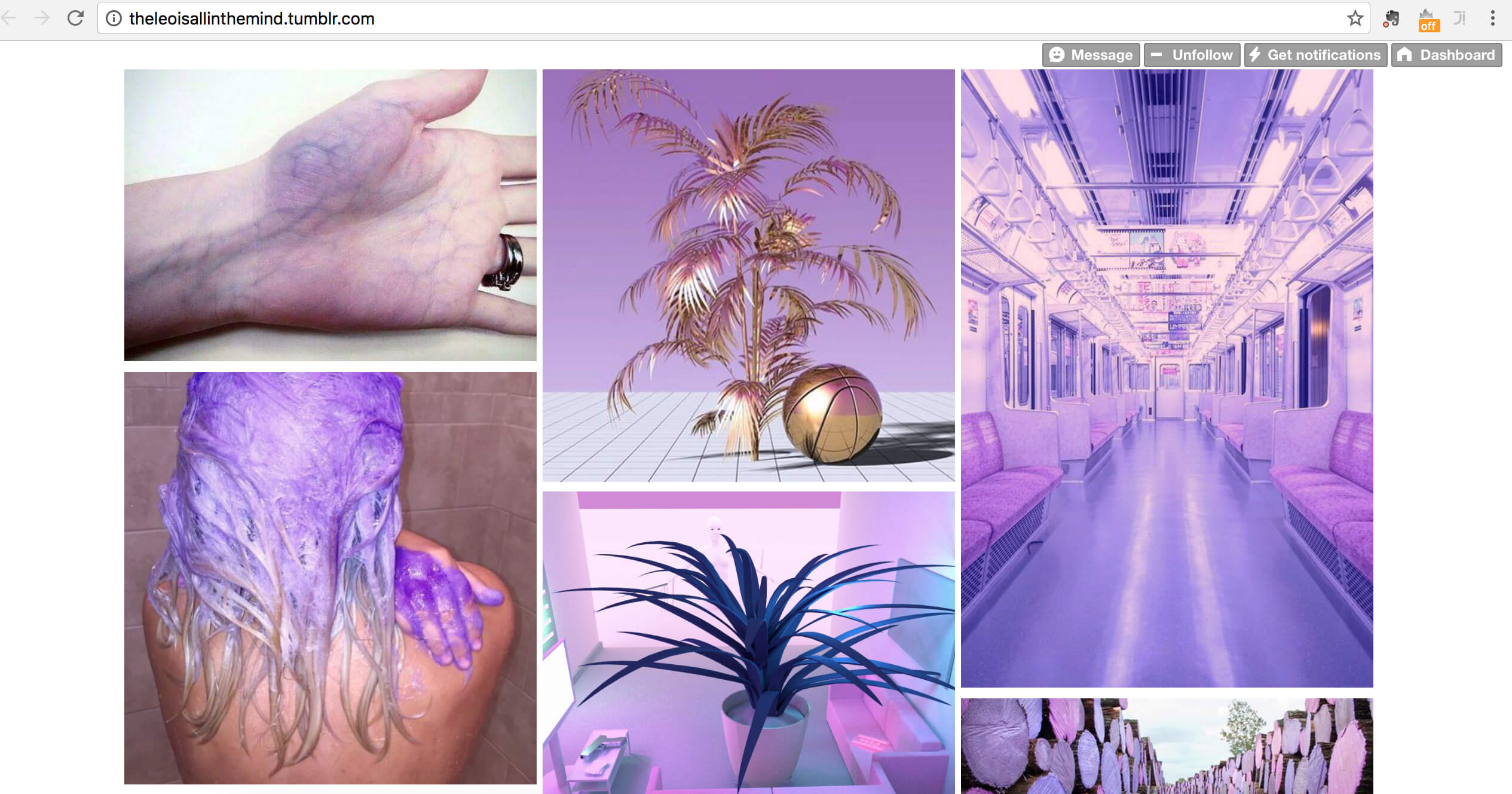 the leo is all in the mind art tumblr