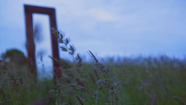 Vimeo