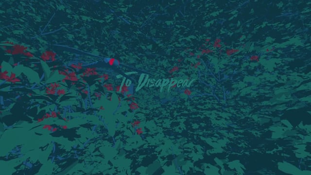 Vimeo