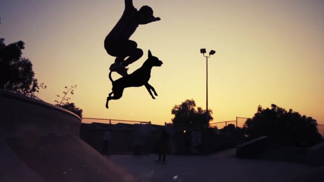 Vimeo