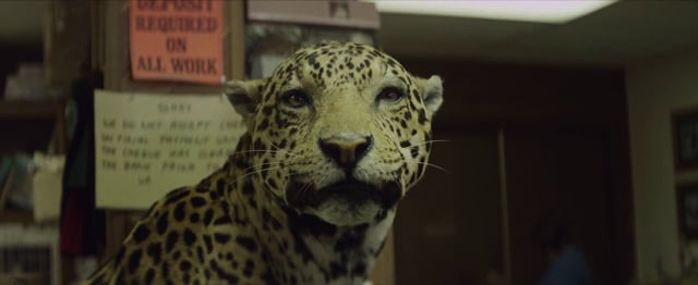 Vimeo