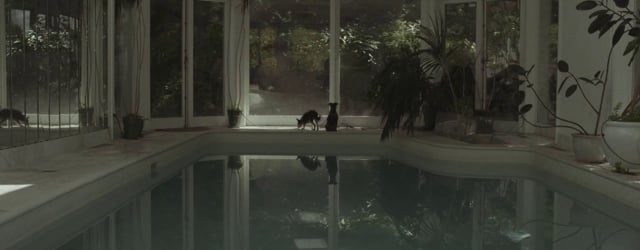 Vimeo