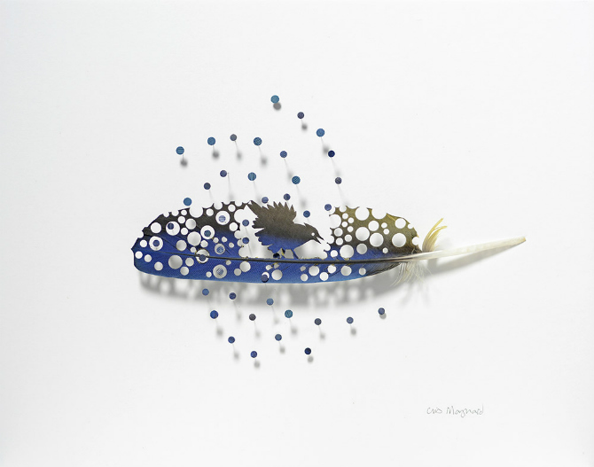 Chris Maynard Featherfolio JaySunBather-1