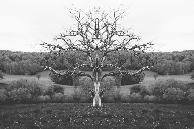 Rorschach photography by Piranda_tree_670px