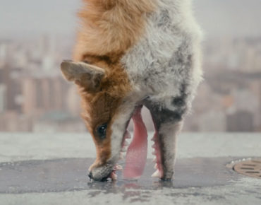 Yvein Monq 'TWUN' by Kinopravda