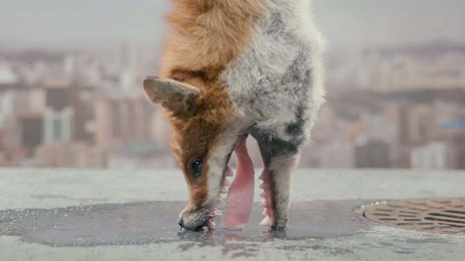 Yvein Monq 'TWUN' by Kinopravda