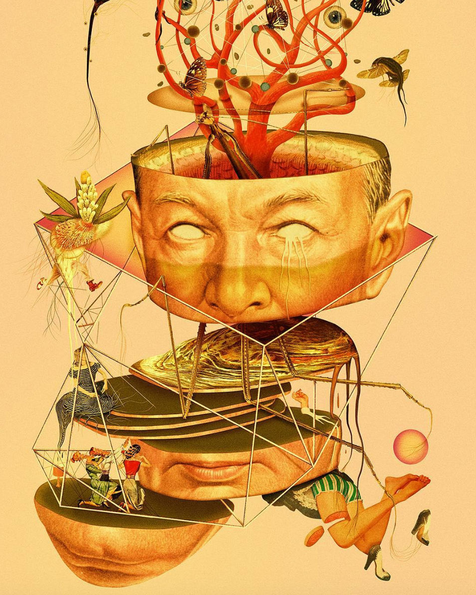 dromsjel warped faces collage art