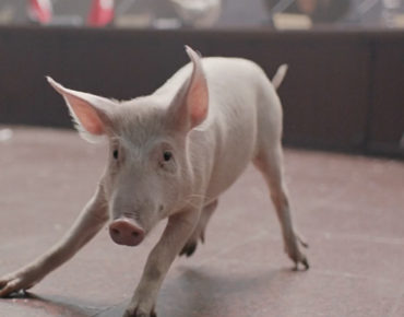 DJ Shadow ft Run the Jewels Nobody Speak