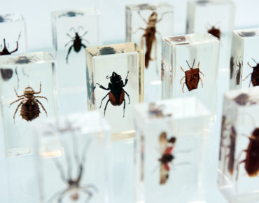 Berlin Interior Design Store Room Capacity Vintage Furniture & Art