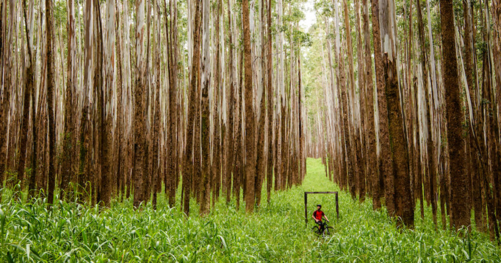 dreamride 2 by mike hopkins