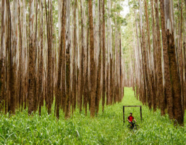 dreamride 2 by mike hopkins