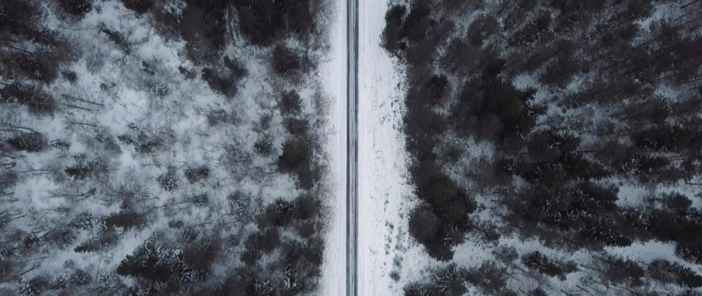 parrot to the moon doors music video