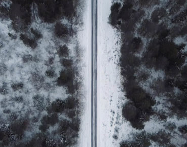 parrot to the moon doors music video