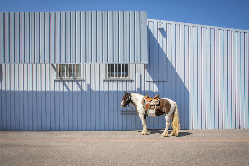 Art: "The wait" by Benjamin Le Brun - le centre des loisirs